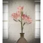 MAGNOLIA X3 POMARAŃCZOWY 30X90 cm MIN 10